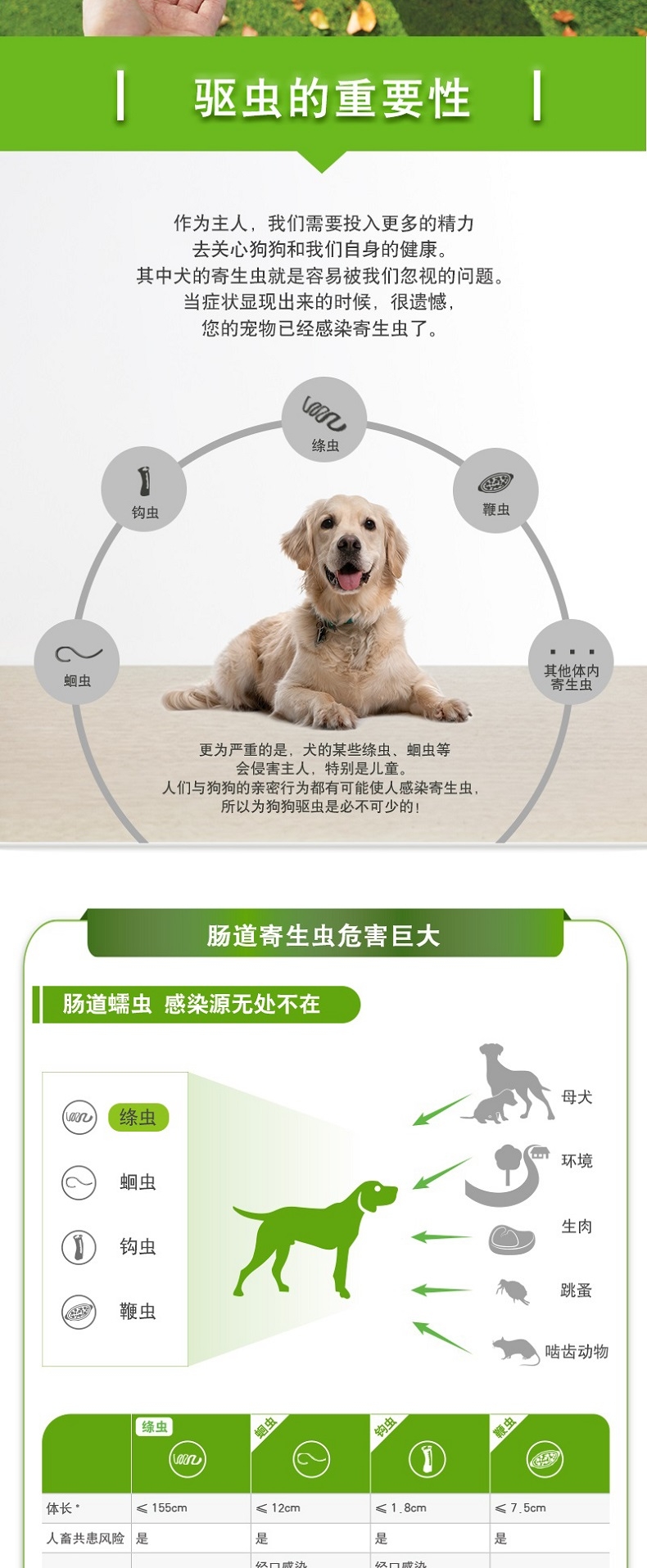 拜宠清 犬用体内驱虫 口服 6片盒装/可三个月喂一次 德国进口