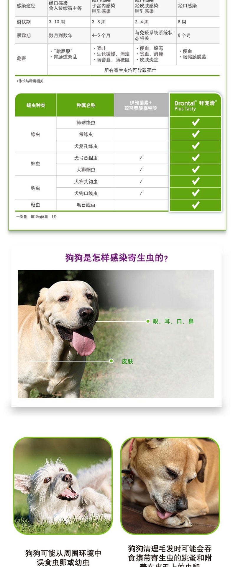 拜宠清 犬用体内驱虫 口服 6片盒装/可三个月喂一次 德国进口