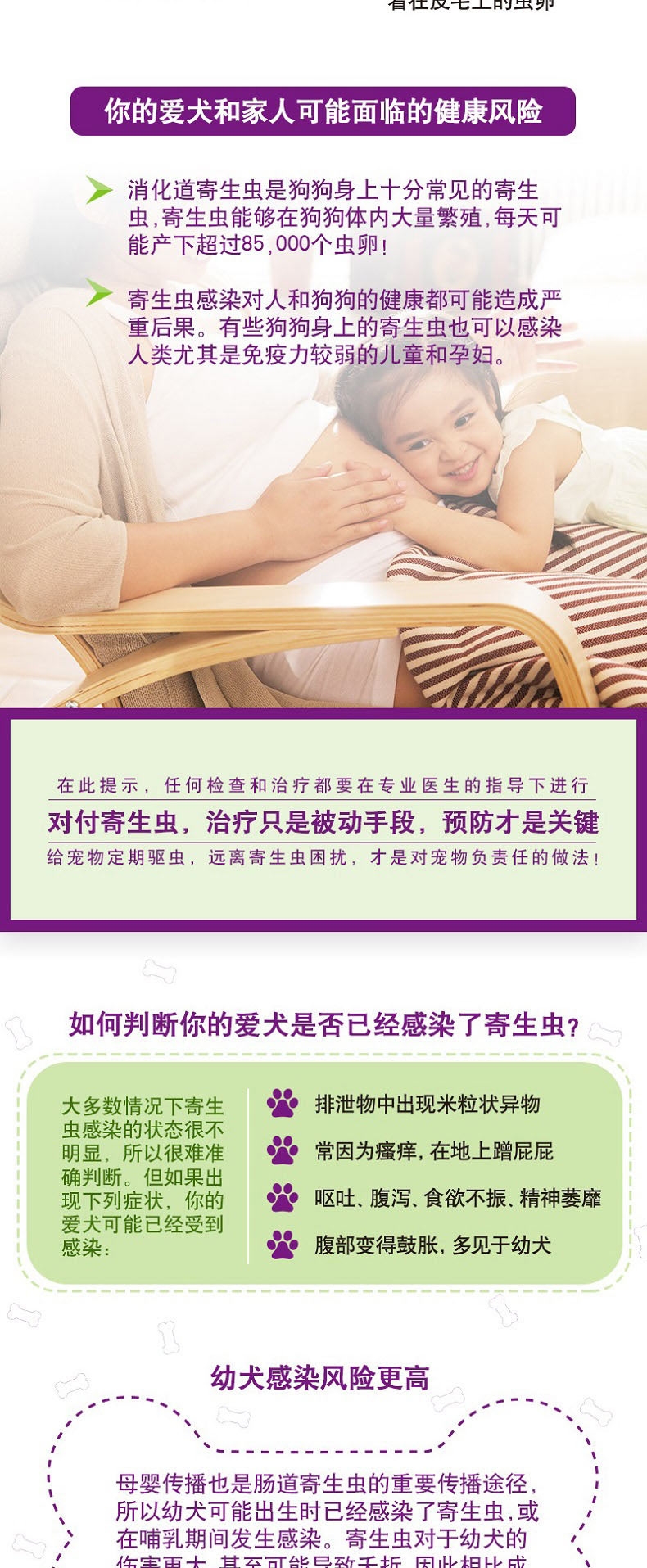 拜宠清 犬用体内驱虫 口服 6片盒装/可三个月喂一次 德国进口