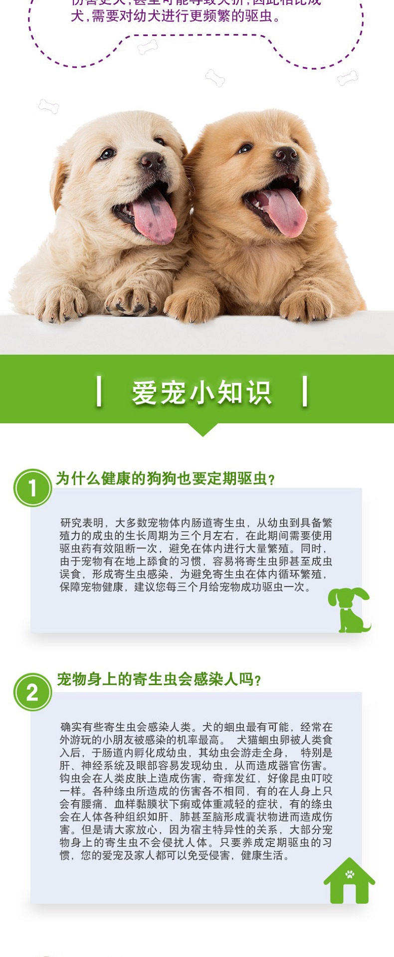 拜宠清 犬用体内驱虫 口服 6片盒装/可三个月喂一次 德国进口