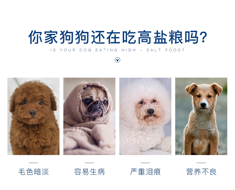 优倍滋 牛肉味全犬种全期犬粮10kg