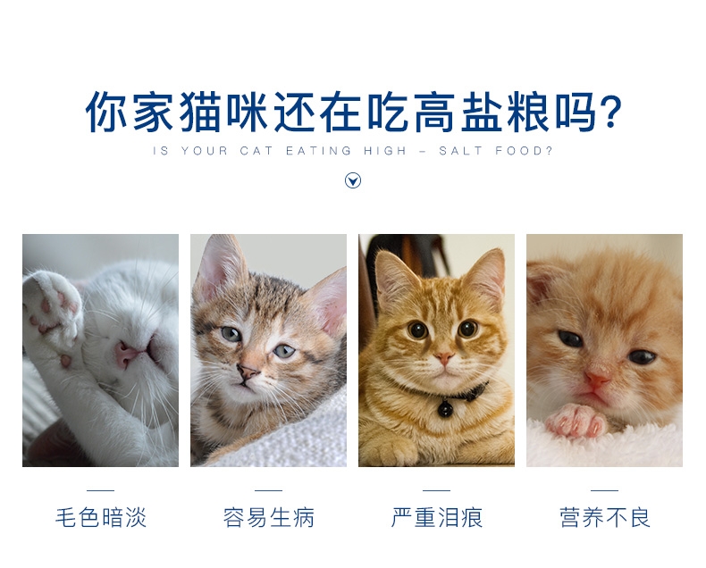 优倍滋 海洋鱼味全猫种全期猫粮10kg