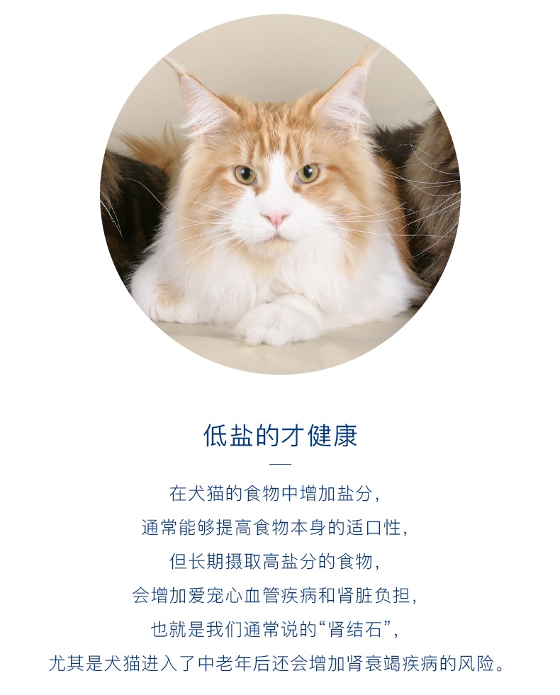 优倍滋 海洋鱼味全猫种全期猫粮10kg