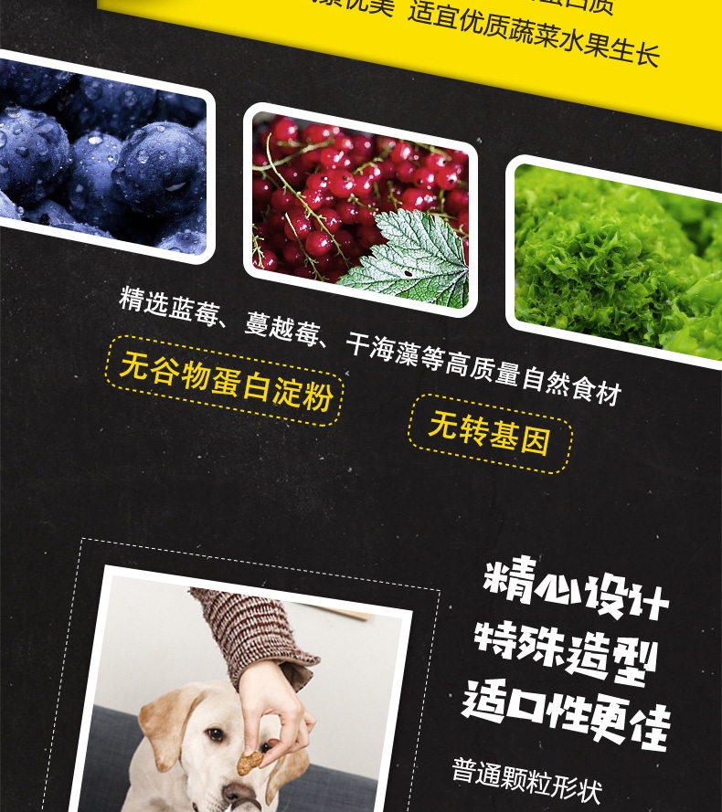 达福德Darford 零G致纯烤鸭肉迷你烘焙零食适口性佳170g 狗零食