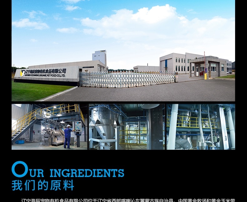 黑鼻头 牛肉芝士实粒派150g*3联罐 狗零食磨牙美毛增色
