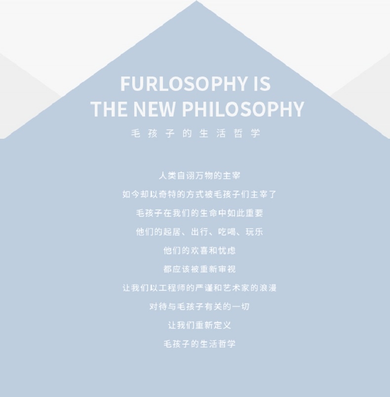 FURRYTAIL吃迷 猫食盆