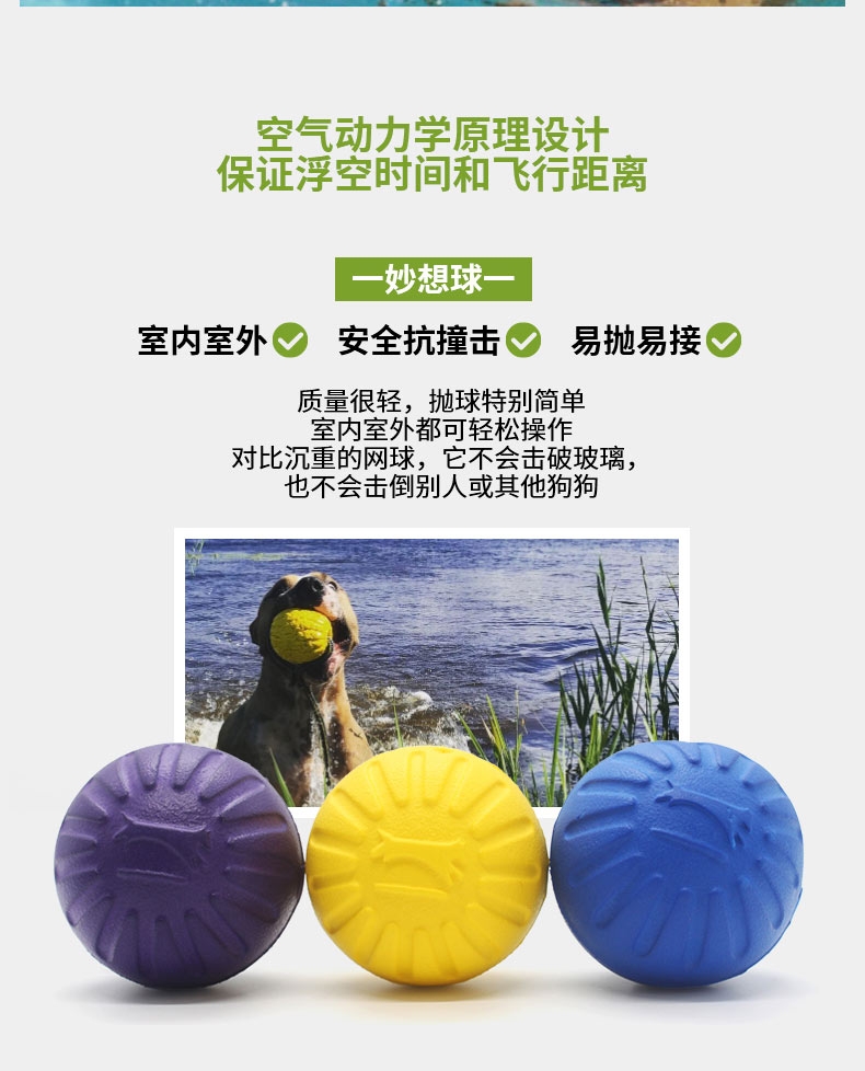 星记Starmark 狗狗训练飞盘