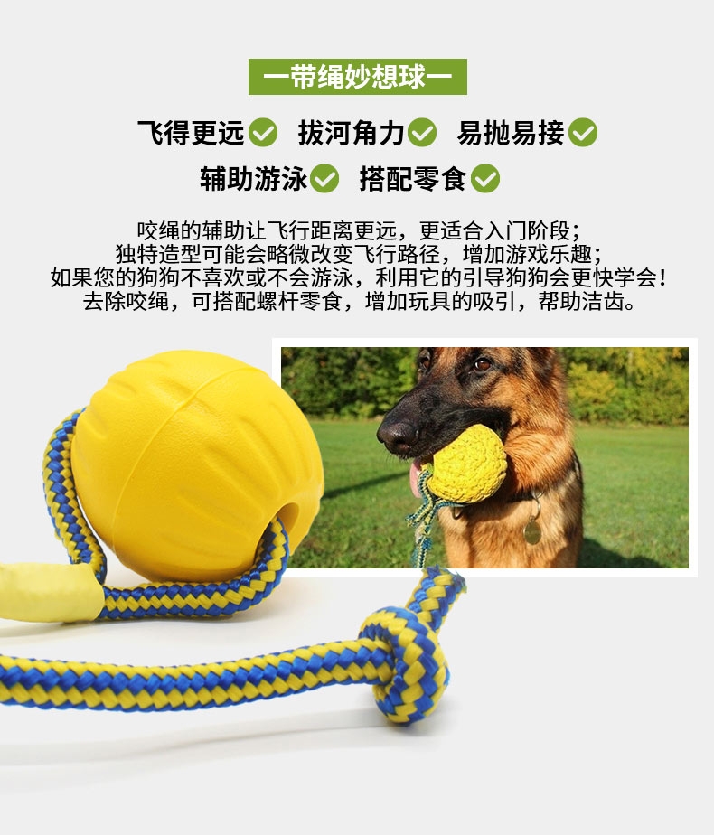 星记Starmark 狗狗训练飞盘