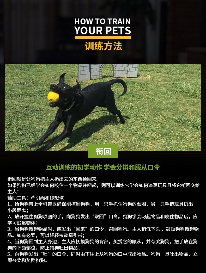 星记Starmark 狗狗训练飞盘