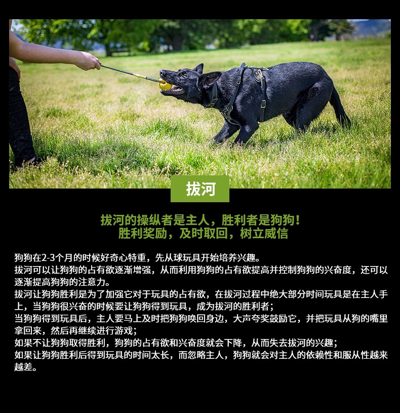 星记Starmark 狗狗训练飞盘