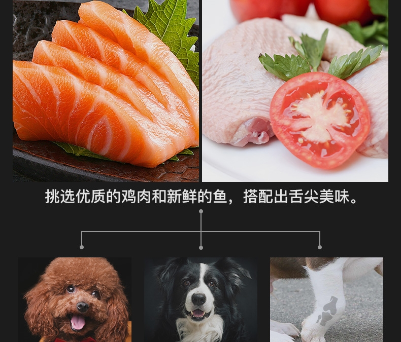 Fromm 福摩 鸡肉鱼蔬菜配方全犬粮(30LB)13.6kg