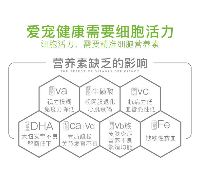 小宠EHD 犬猫综合营养素120g 全龄期适用