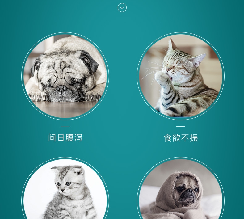 怡亲 犬猫通用宠物肠胃保健益生菌粉 5g