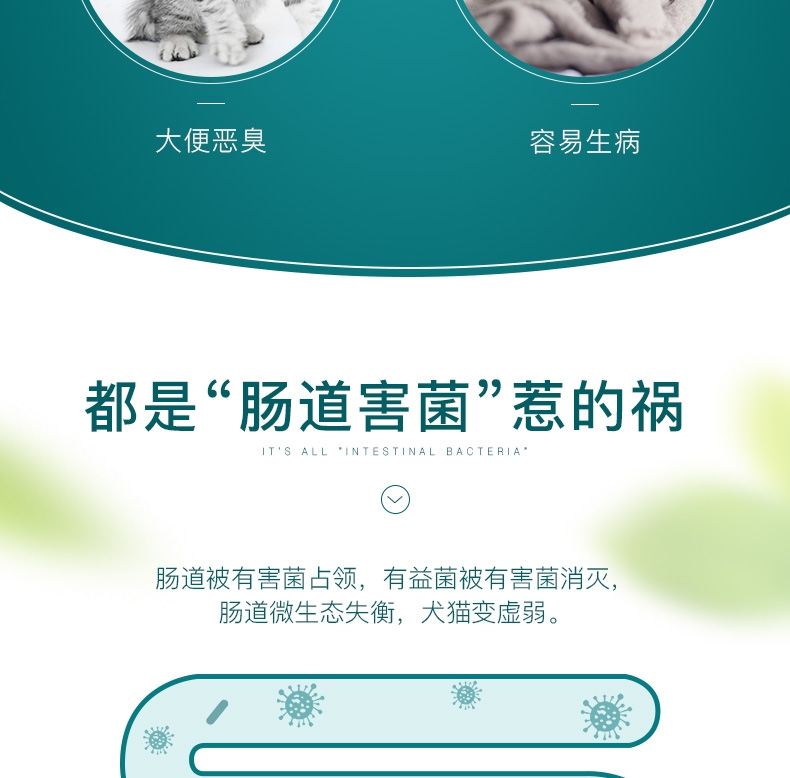 怡亲 犬猫通用宠物肠胃保健益生菌粉 5g