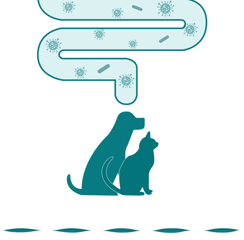 怡亲 犬猫通用宠物肠胃保健益生菌粉 5g
