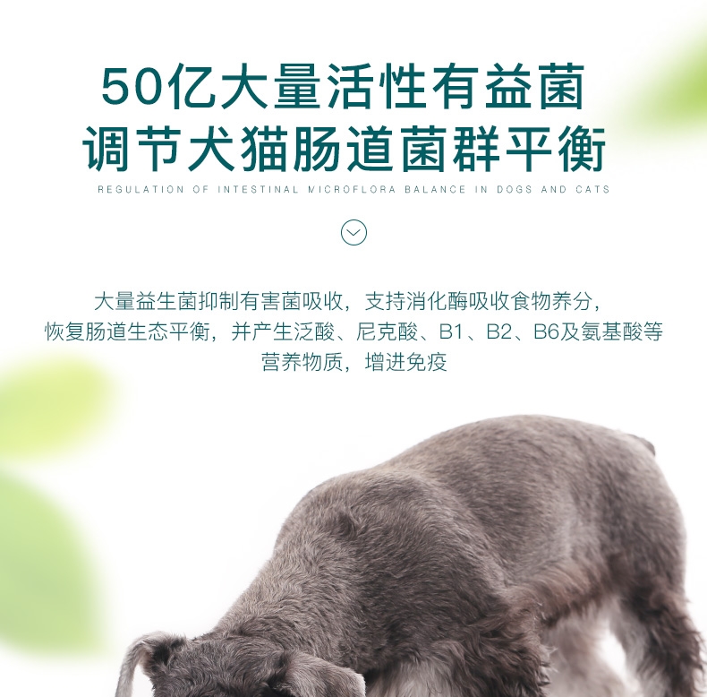 怡亲 犬猫通用宠物肠胃保健益生菌粉 5g