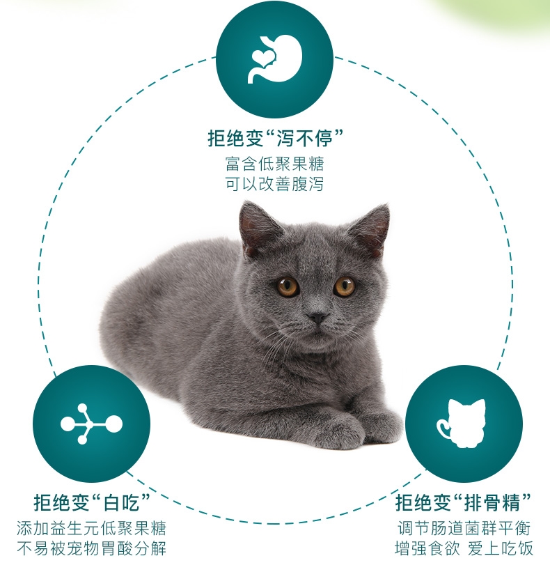 怡亲 犬猫通用宠物肠胃保健益生菌粉 5g