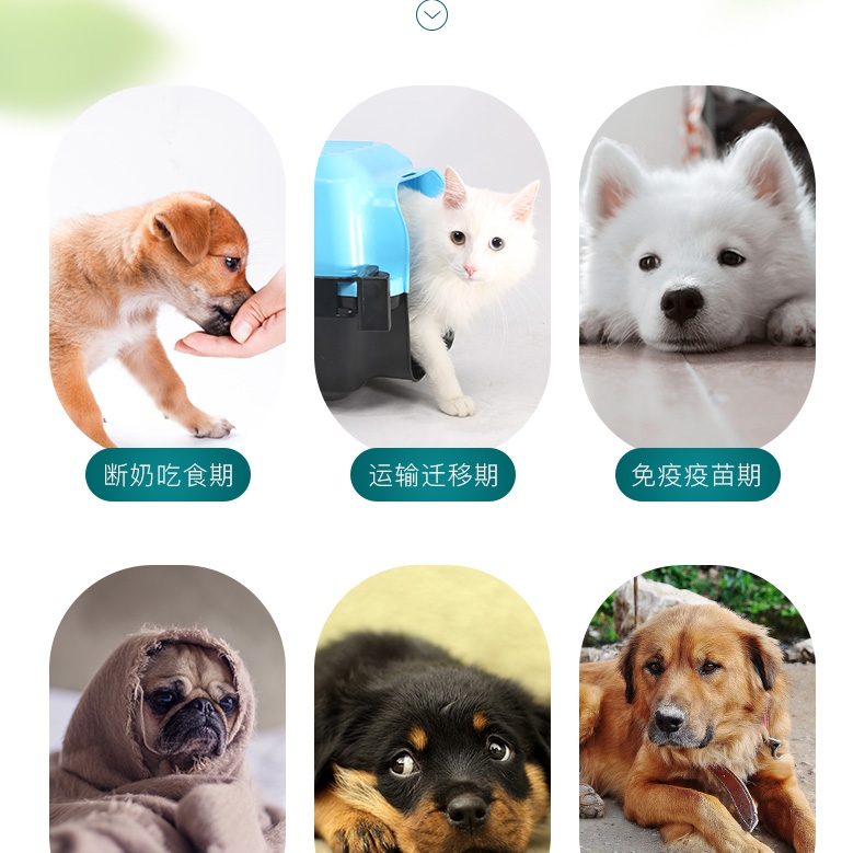 怡亲 犬猫通用宠物肠胃保健益生菌粉 5g