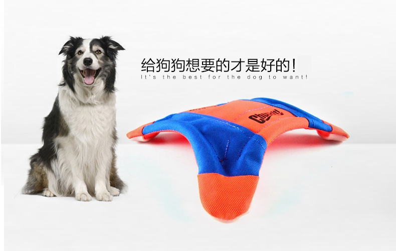 Petmate CHUCKIT!®四角飞鼠飞盘