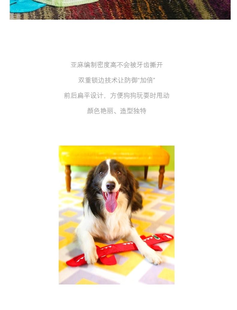 酷极Kyjen 火龙德雷克耐咬发声狗狗玩具