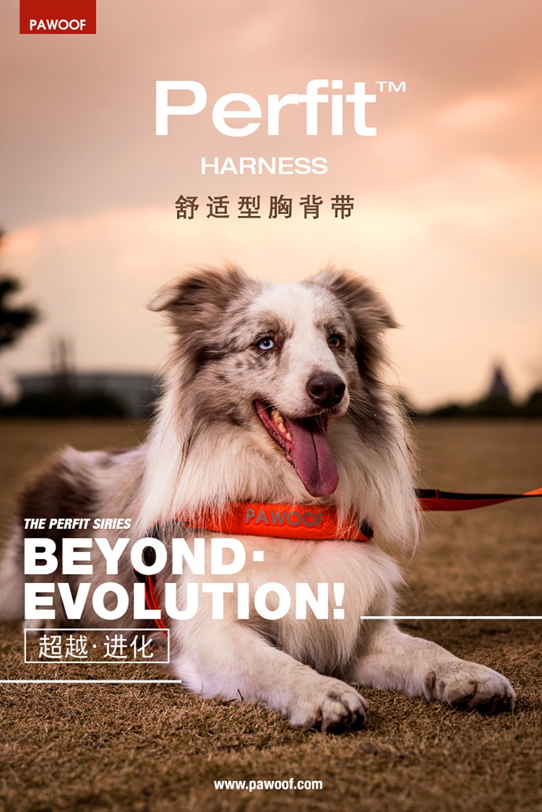 美国酷极Kyjen 舒适型包裹狗狗胸背带