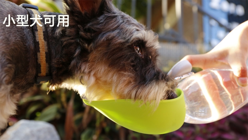 休普Super 外出便携式水壶随行杯 狗狗水壶