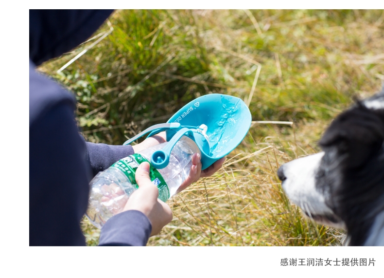 休普Super 外出便携式水壶随行杯 狗狗水壶