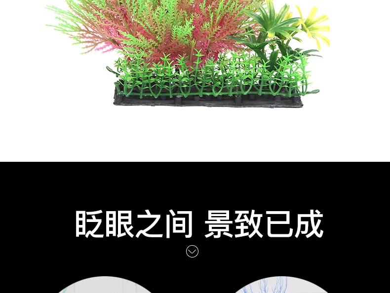 聚宝源 水族鱼缸造景细菌屋罗汉草 蓝色