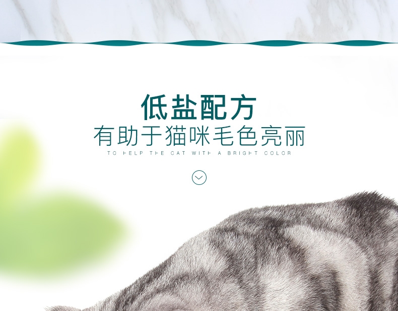 怡亲Yoken 鱼肉味火腿肠奖励猫零食 12g*30支