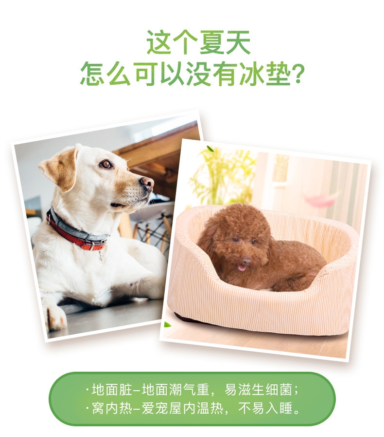 怡亲Yoken 奇异果造型宠物冰垫