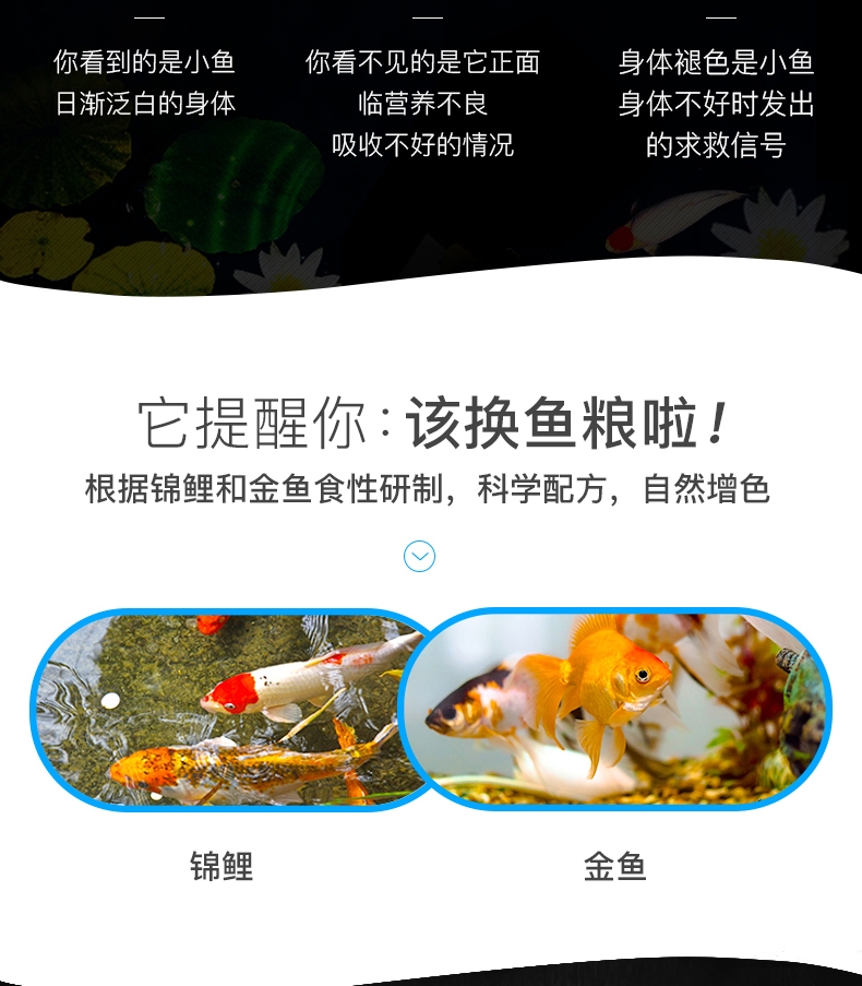 聚宝源 锦鲤金鱼通用鱼粮育成2mm颗粒 150g