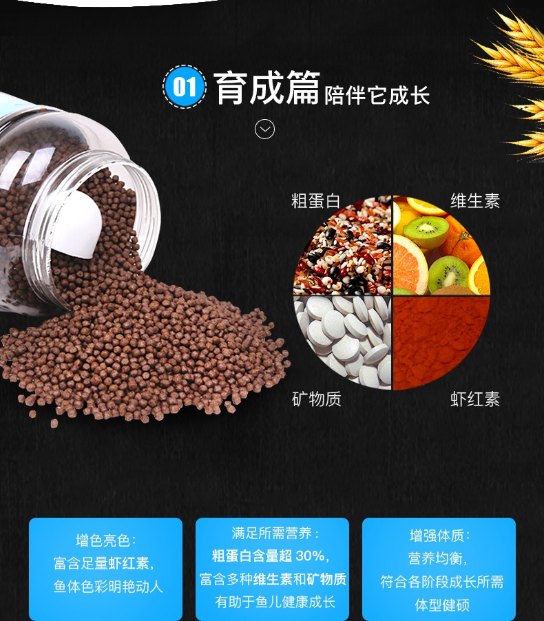 聚宝源 锦鲤金鱼通用鱼粮育成2mm颗粒 150g