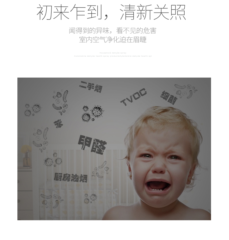 飘艾儿Pureayre 空气净化王子车菊蓝 含一颗胶囊 除醛除菌