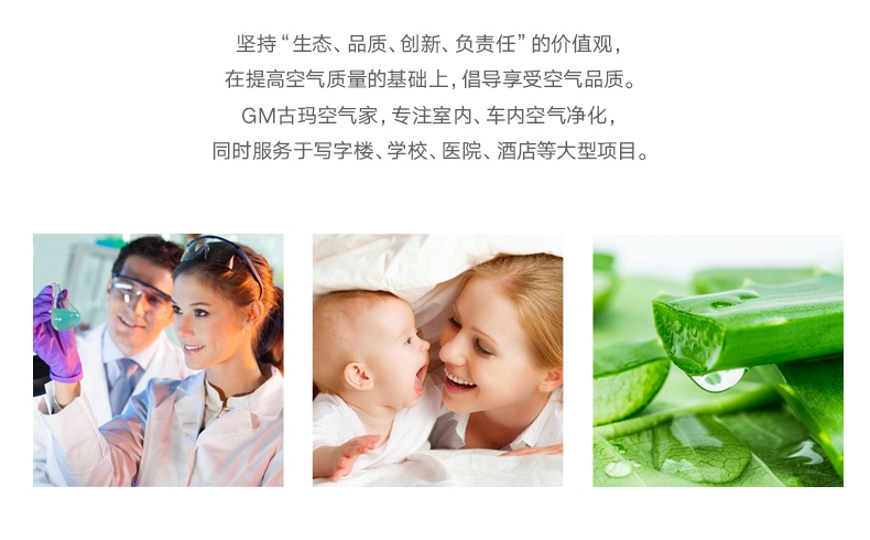 飘艾儿Pureayre 空气净化胶囊13g*2 除醛除味 美国进口