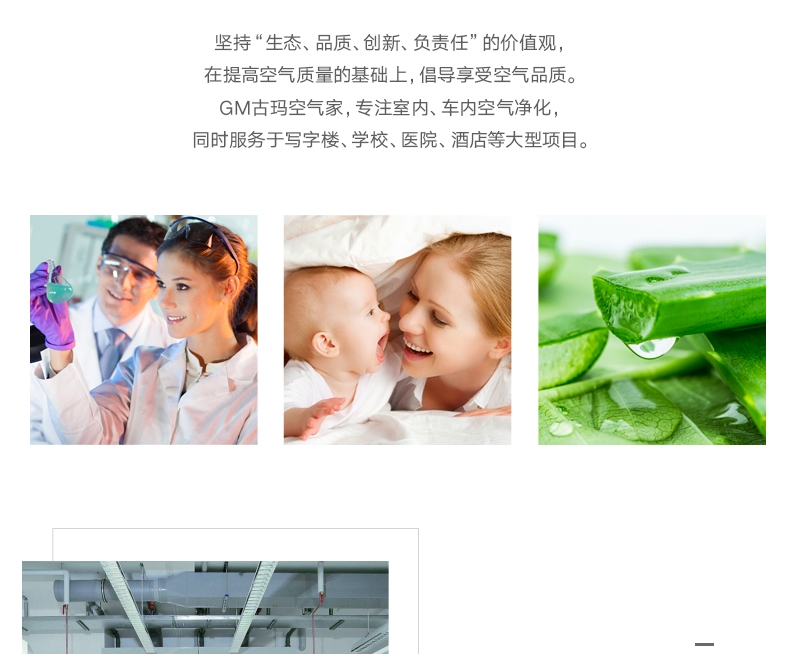 飘艾儿Pureayre 空气净化胶囊9g*2 除醛除味 美国进口