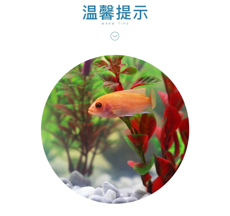 聚宝源 底砂造景底沙 五彩石500g