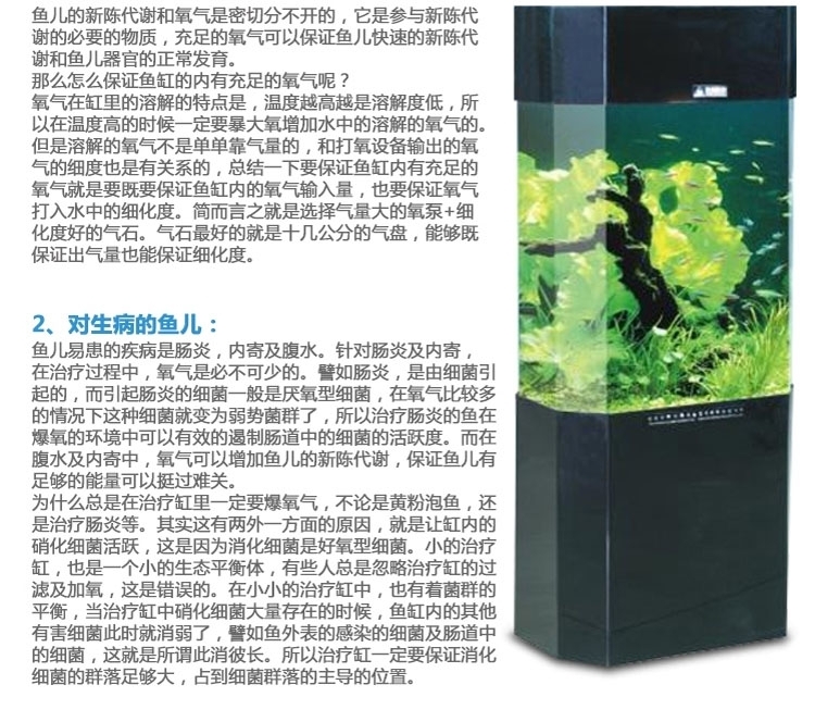 聚宝源 气饼增氧砂头小号 4cm直径