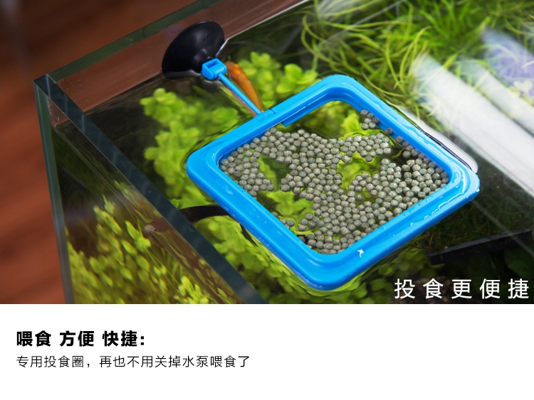 聚宝源 投食圈喂食器 方形