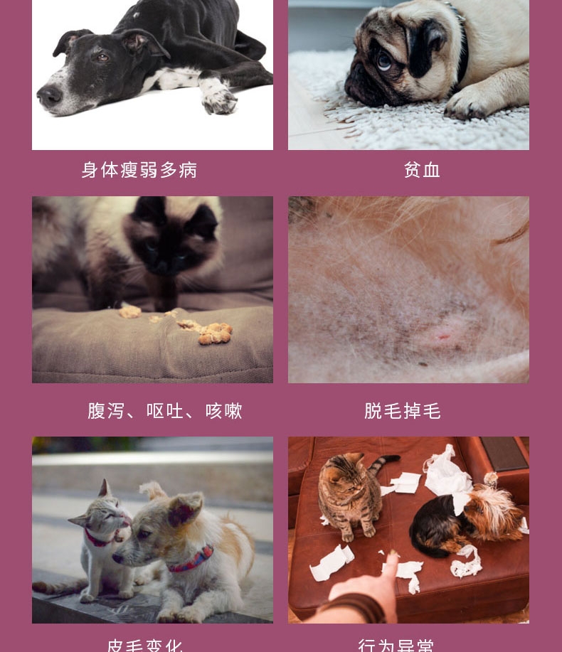 恩倍多 猫用体内驱虫 口服驱虫药 100mg