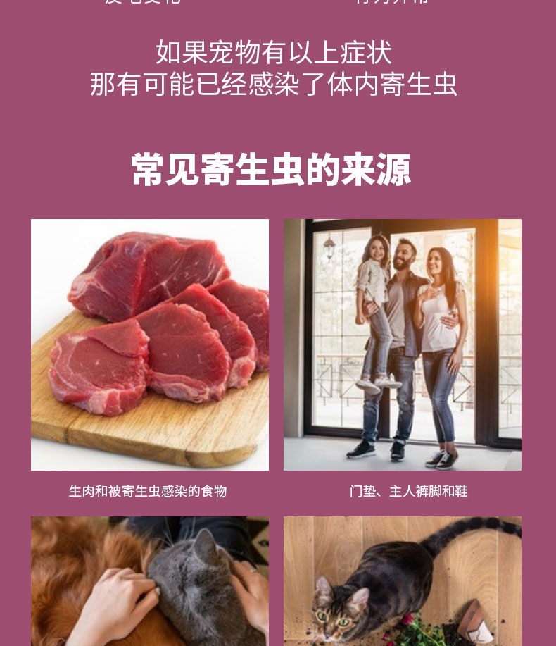 恩倍多 猫用体内驱虫 口服驱虫药 100mg