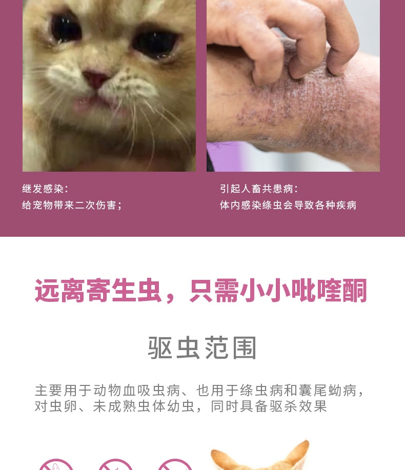恩倍多 猫用体内驱虫 口服驱虫药 100mg
