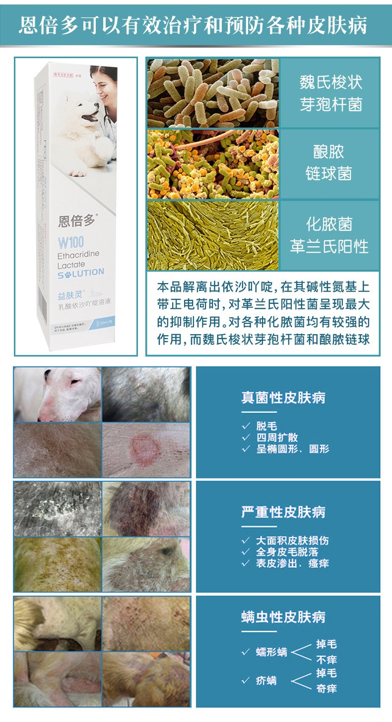 恩倍多 益肤灵W100皮肤病喷雾 100ml 犬猫通用 改善皮肤病