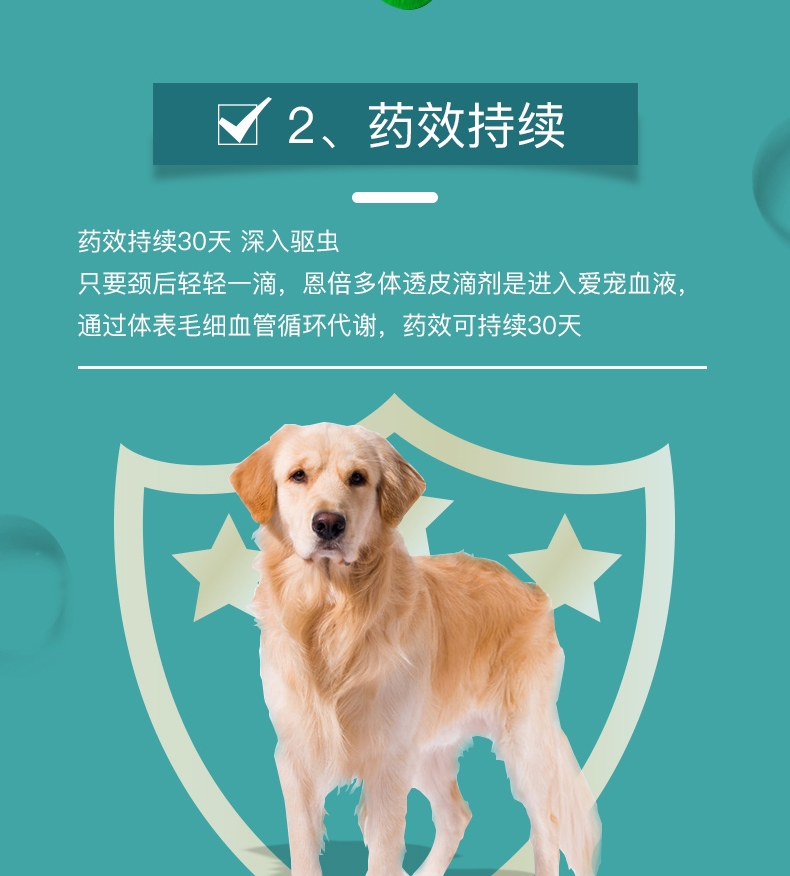 恩倍多 猫用体外驱虫 滴剂 适用1kg-5kg猫 0.5ml/1个月剂量