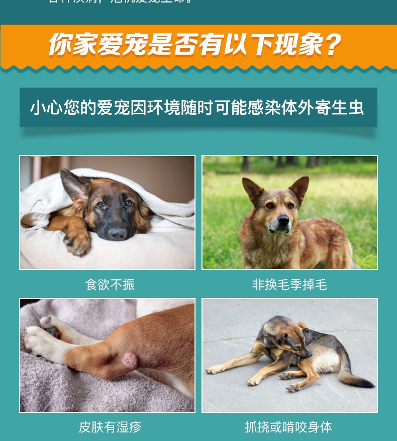 恩倍多 猫用体外驱虫 滴剂 适用1kg-5kg猫 0.5ml/1个月剂量