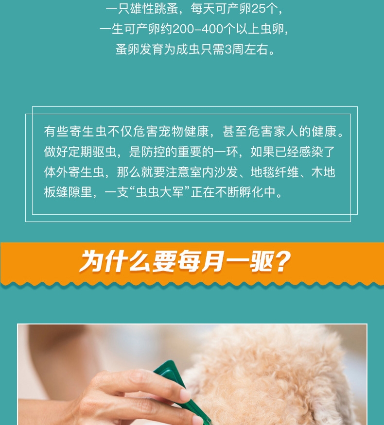 恩倍多 猫用体外驱虫 滴剂 适用1kg-5kg猫 0.5ml/1个月剂量