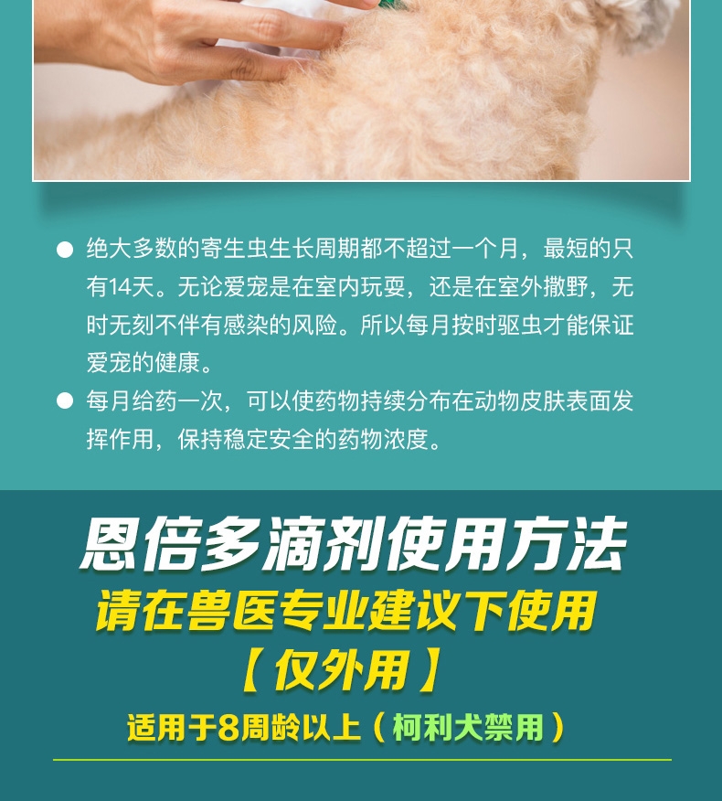 恩倍多 猫用体外驱虫 滴剂 适用1kg-5kg猫 0.5ml/1个月剂量