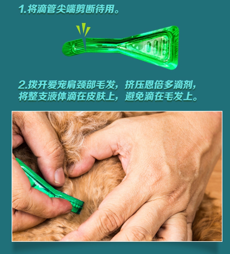 恩倍多 猫用体外驱虫 滴剂 适用1kg-5kg猫 0.5ml/1个月剂量