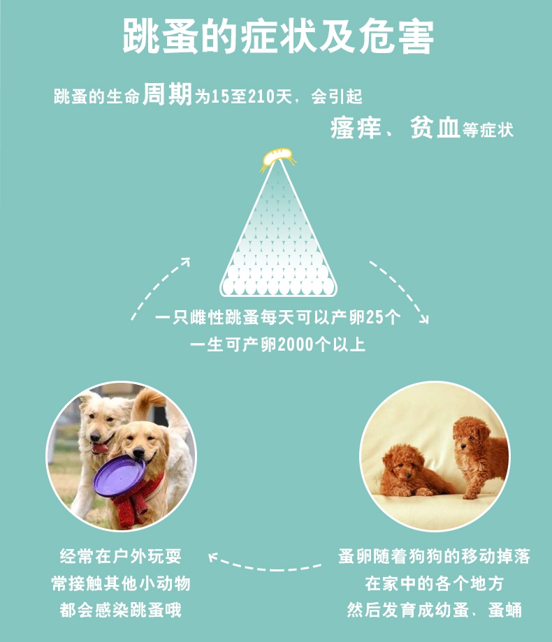 恩倍多 犬用体外驱虫 滴剂 适用15kg-30kg犬 2ml/1个月剂量