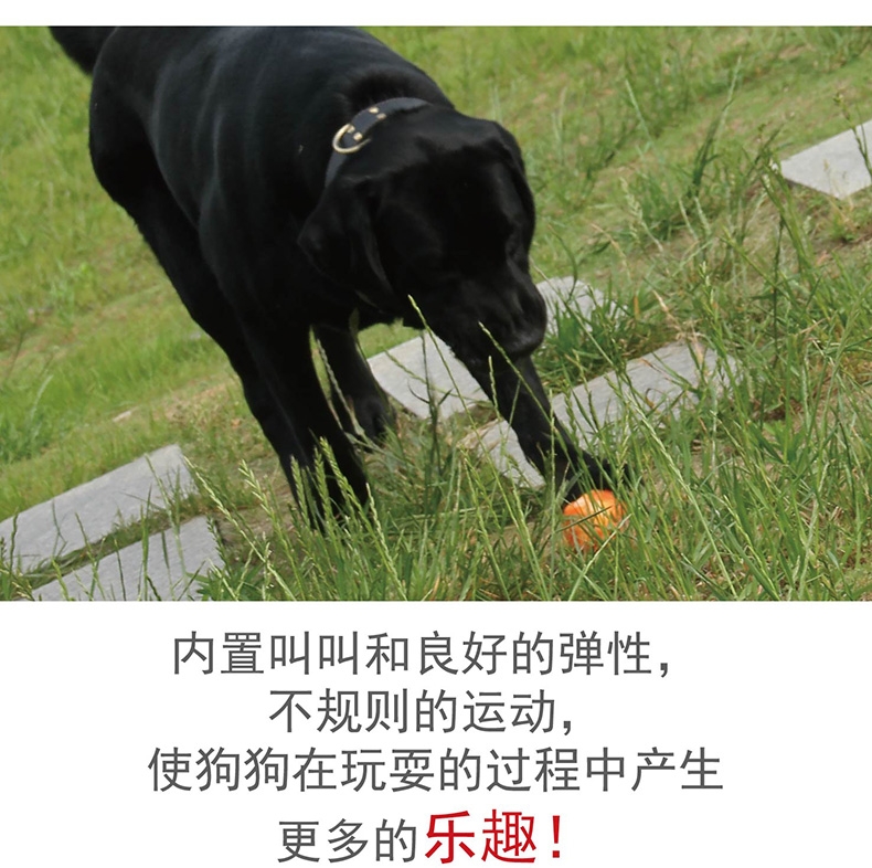 贵为GiGwi 龇牙弹跳毛绒球狗狗玩具
