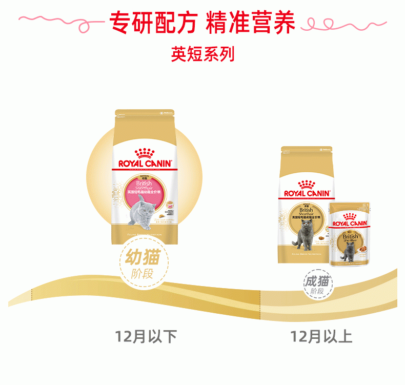 法国皇家Royal Canin 英国短毛幼猫粮 2kg BSK38